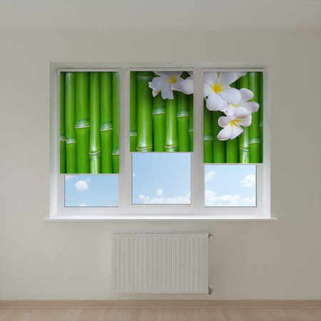 Рулонные шторы с фотопечатью Рулонные шторы с фотопечатью